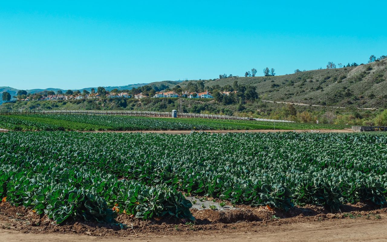 Farms — Hetheya
